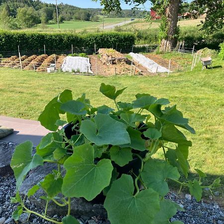 Bilitt gård Hotel Hobol Luaran gambar